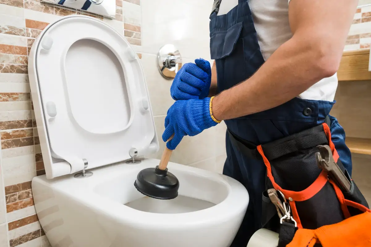 Blocked Toilet Common Causes and Solutions
