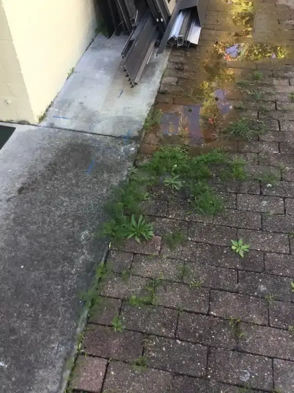 Water pooling on brick paving beside a house before a leak repair