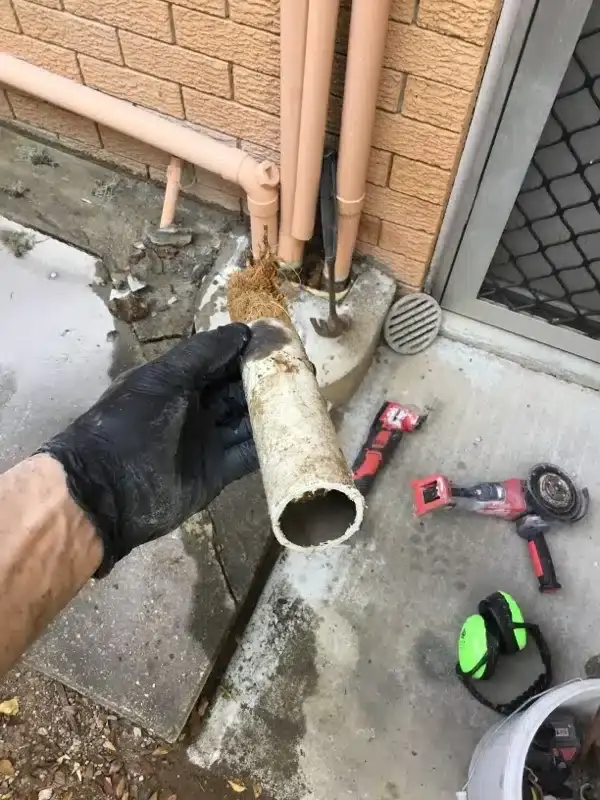 Plumber holding a pipe section blocked with waste from a bathroom basin