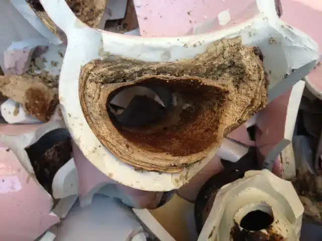 Blocked Toilet