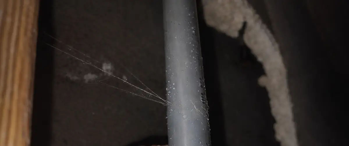 Leaking water pipe spraying inside a wall cavity