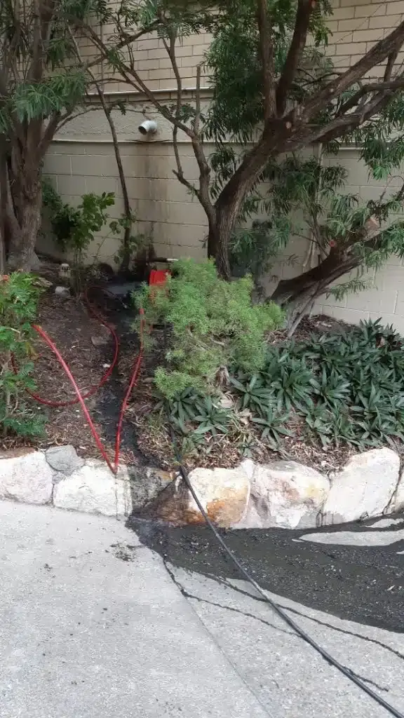 Drain jetter hose running into a garden drain beside a driveway