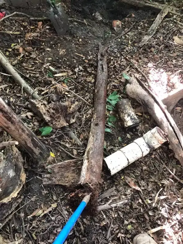 Drain root cutter cable among garden debris after clearing roots